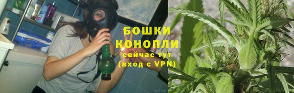 PSILOCYBIN Абдулино