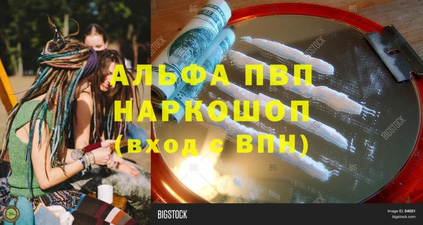 прущие грибы Абинск