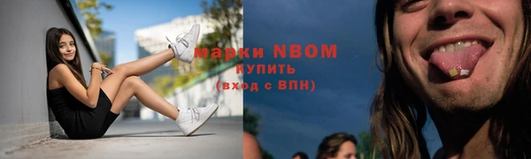 прущие грибы Абинск