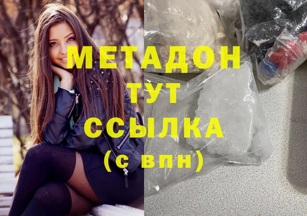 прущие грибы Абинск