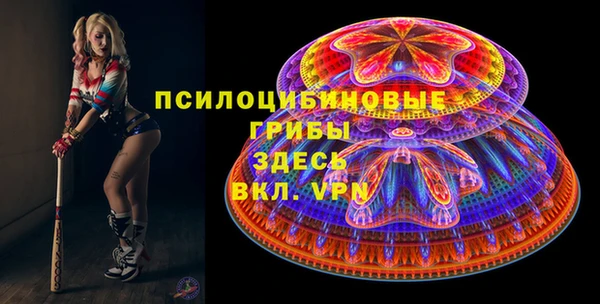 прущие грибы Абинск