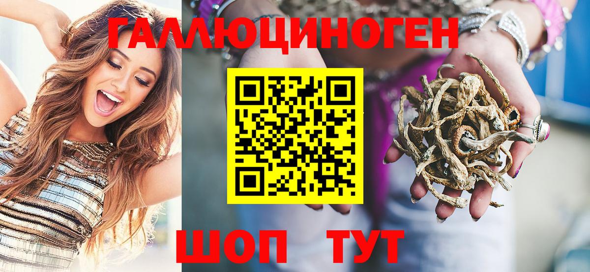 Волоколамск  Галлюциногенные грибы Cubensis  Вход с VPN 